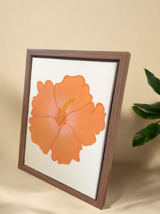 Hibiscus Mimosa