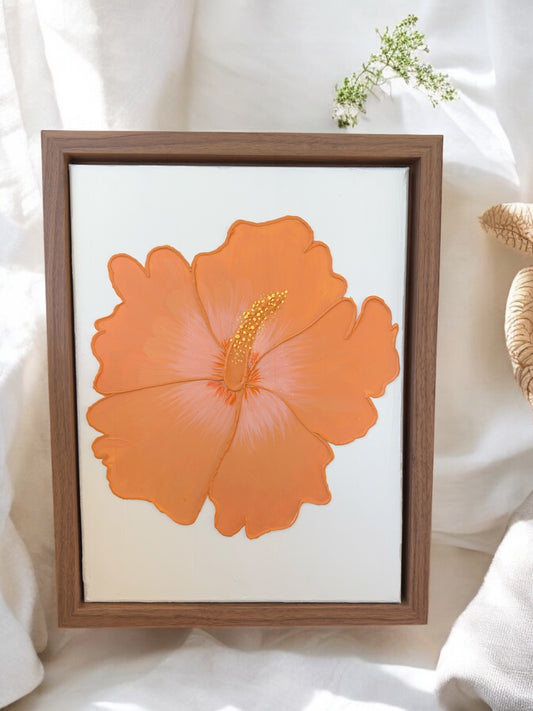 Hibiscus Mimosa